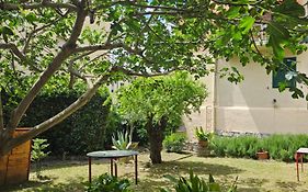 Toscani Da Sempre